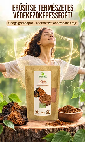 Biomenü Bio Chaga gombapor