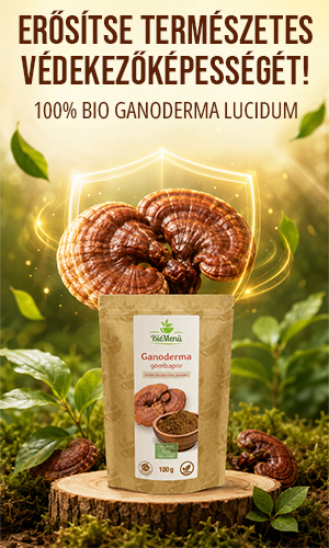 Biomenü Bio Ganoderma gombapor