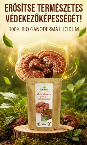 Biomenü Bio Ganoderma gombapor