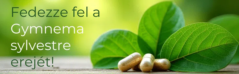 Válasz a természetes fogyókúra kérdéseire: gymnema sylvestre kapszula Válasz a természetes fogyókúra kérdéseire: gymnema sylvestre kapszula